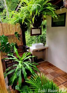 Zahrada ubytování Loki Baan Paa + 29 fotografií