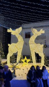 um grupo de pessoas sentadas em frente a uma decoração de Natal em La farfalla del vicolo em Larino