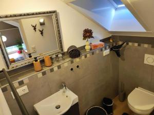 un bagno con lavandino, specchio e WC di Caro´s Landblick a Marktleugast