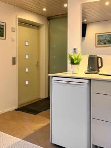 eine Küche mit einer Theke und einer Tür in der Unterkunft Guest House Salo-City in Salo