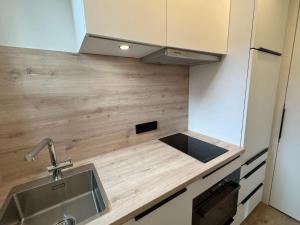 于斯德Dünen Lodge 3的带水槽和台面的厨房