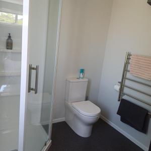a white bathroom with a toilet and a shower at Modern & Comfort in Central Alexandra in Alexandra +6 photos