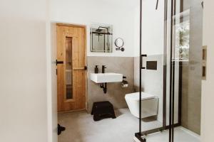 a bathroom with a toilet and a sink at Harzchalet Brockenbahn 2B in Elend