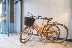 
Montar en bicicleta en Petit Palace Plaza del Carmen o alrededores
