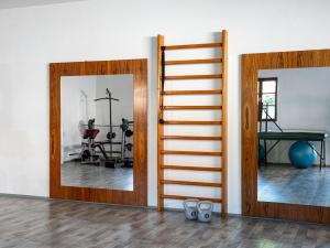 Líkamsræktarstöð og/eða líkamsræktaraðstaða á Holenský dvůr