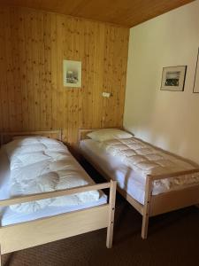 Φωτογραφία από το άλμπουμ του Marmottes D40 σε Arolla