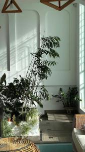 Billede fra billedgalleriet på The Scent Boutique Dalat Hotel i Da Thien