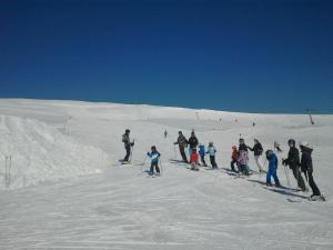 a group of people on skis in the snow at Innerkrems Apartment Mateja in Innerkrems +38 photos