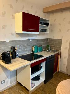 een keuken met een spoelbak en een aanrechtblad bij Parenthèse Champenoise T23 in Troyes