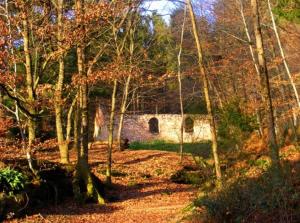 Gîte avec sauna في Soucht: مبنى قديم وسط غابه