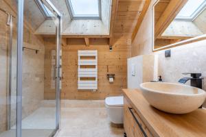 a bathroom with a shower and a sink and a toilet at Chalet cosy et neuf, Grande Terrasse, Vue panoramique in Saint-Jean-de-Sixt +26 photos