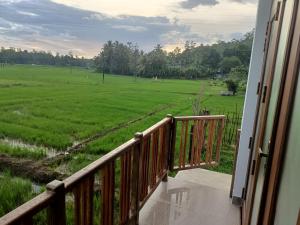 een balkon met uitzicht op een rijstveld bij Paddy Edge Ahangama in Ahangama