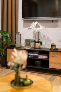 Et tv og/eller underholdning på Holiday home Tilia