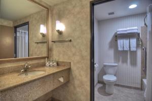 a bathroom with a sink and a toilet and a mirror at Holiday Inn Express San Diego South - Chula Vista by IHG in Chula Vista