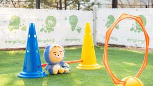 a teddy bear sitting next to orange cones on the grass at Gapyeong Daengdaengi Dog Pension Silver in Gapyeong