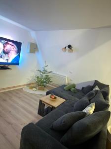 un soggiorno con un divano e una TV di Wild Hill Apuseni a Gârda de Sus