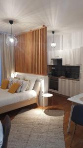 Kuchyň nebo kuchyňský kout v ubytování Magnifique appartement de standing climatisé lumineux