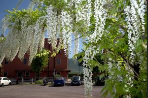 un árbol cubierto de flores blancas delante de un edificio en Agri Domus, en Guidonia