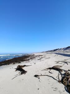 Gallery image of Malkop Sea View Resort in Lambertʼs Bay