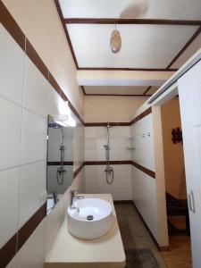 un bagno con lavandino e doccia di La Maison Betsileo a Fianarantsoa