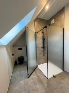 ズワールムにあるHof van Vlaanderenのガラスドア付きのシャワー付きのバスルーム +16枚の写真