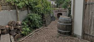 ウンナにあるHalf-timbered house with garden, close to nature & cityの庭のトンネルを歩く犬