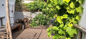 ウンナにあるHalf-timbered house with garden, close to nature & cityの建物脇の緑の植物 +8枚の写真