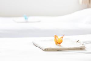 Jídlo v hotelu nebo okolí + 14 fotografií