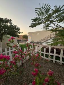 Naturlandskabet i nærheden af chaletet