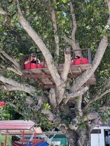two people in a tree house in a tree at DEWATI ROOMSTAY B&B in Lang Tengah +83 photos