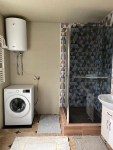 米日吉里亚Садиба Кичера的配有洗衣机和淋浴的浴室