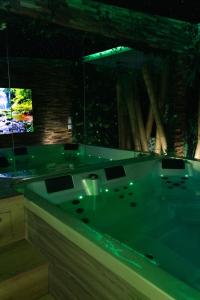 a bathroom with a tub with two televisions at Jungle Room in Perpignan