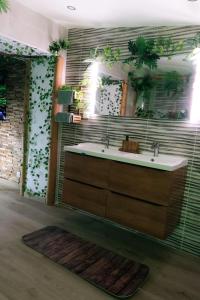 ein Badezimmer mit Waschbecken und Spiegel in der Unterkunft Suite Jungle Room in Perpignan