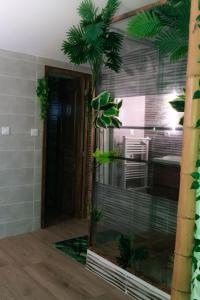 ein Aquarium mit einer Palme in einem Zimmer in der Unterkunft Suite Jungle Room in Perpignan