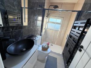 a bathroom with a black sink and a toilet at Cozy Escape Garden Flat in Birmingham