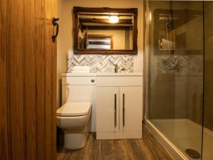 een badkamer met een toilet, een douche en een spiegel bij Blists Hill Cottage Near Ironbridge Victorian Museum in Telford +14 foto's