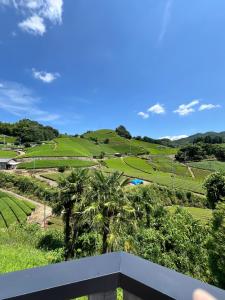 a view from a balcony of a hill with palm trees at Stay at matcha fields in Wazuka