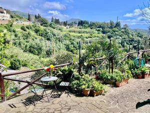 a patio with a table and chairs and plants at Casa Ariel - Elba Affitti in Rio nellʼElba
