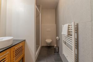 ein Badezimmer mit Waschbecken und Toilette in der Unterkunft l'Ours Bleu C21 - Ski In Ski Out - Happy Rentals in Vallorcine