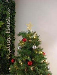 Фотография из галереи Breton 17 в Аликанте