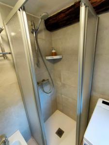 een douche met een glazen deur in een badkamer bij appartamento Casa Lucia in Cencenighe +11 foto's