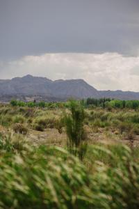 una vista de un campo con montañas en el fondo en La Casita del Bosque, en San Rafael