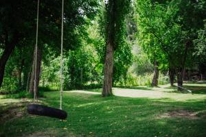 Un columpio de neumático en un parque con árboles. en La Casita del Bosque, en San Rafael