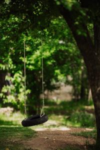 un columpio de neumáticos colgando de un árbol en un parque en La Casita del Bosque, en San Rafael