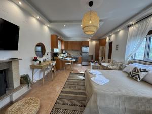 ein Wohnzimmer mit Sofa und Kamin in der Unterkunft Jassemi Studio in Mavrovouni