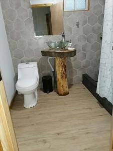 Phòng tắm tại El Refugio del Chucao