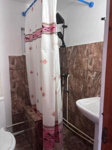 a bathroom with a shower curtain and a sink at Casa Denisa Vidraru transfgarasan in Căpăţîneni-Ungureni +36 photos