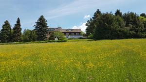 Zahrada ubytování Landhaus Friede