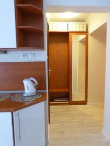 Virtuvė arba virtuvėlė apgyvendinimo įstaigoje Apartament 210