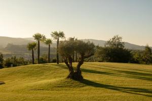 Природа в окрестностях апартаментов/квартиры